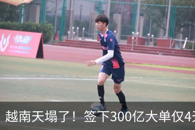 越南天塌了！签下300亿大单仅4天，中国新出一项公告，项目或流产
